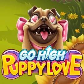 Go High Puppy Love logo by RubyPlay Casoola Casino