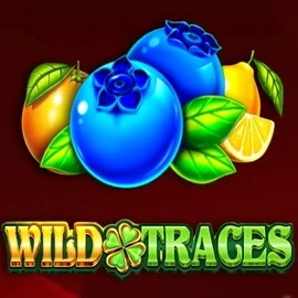 Wild Traces logo by Amusnet Interactive Casoola Casino