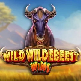 Play Wild Wildebeest Wins slot by Pragmatic Play on casoolacasino.eu